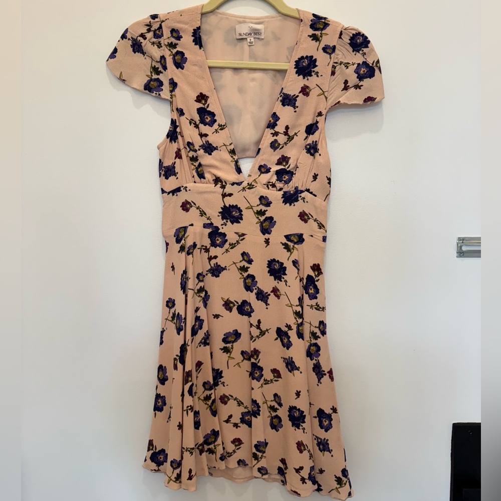 Aritzia (Sunday Best) Pink Floral Dress